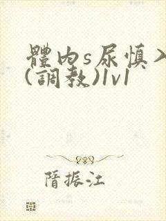 体内s尿慎入h(调教)1v1