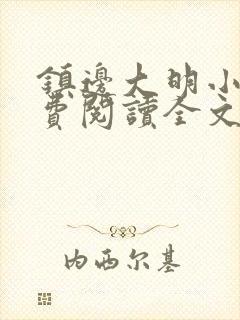 镇边大明小说免费阅读全文最新章节