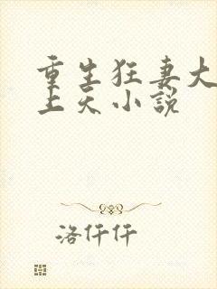 重生狂妻大佬宠上天小说