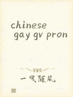 chinese gay gv pron