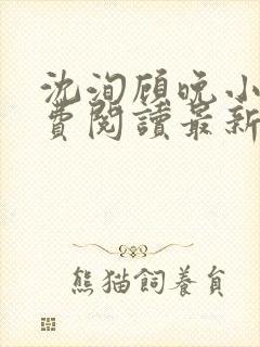 沈洵顾晚小说免费阅读最新章节