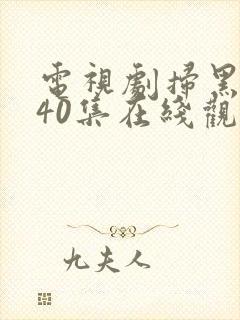 电视剧扫黑风暴40集在线观看免费