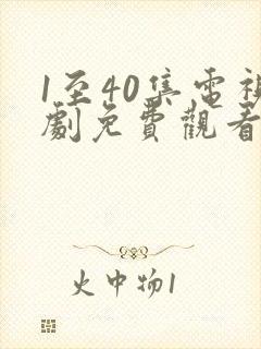 1至40集电视剧免费观看