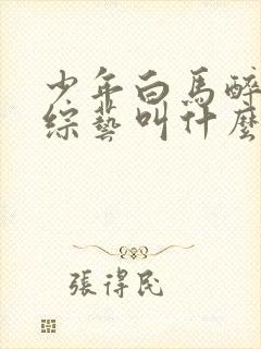 少年白马醉春风综艺叫什么封面