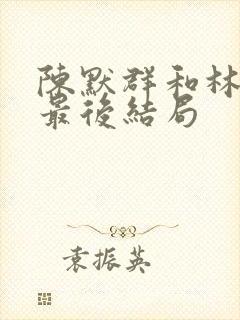 陈默群和林楠笙最后结局封面