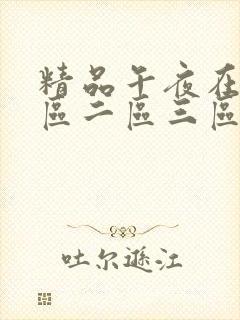 精品午夜在线一区二区三区