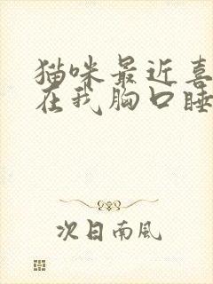 猫咪最近喜欢趴在我胸口睡觉