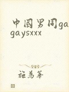 中国男同gaygaysxxx