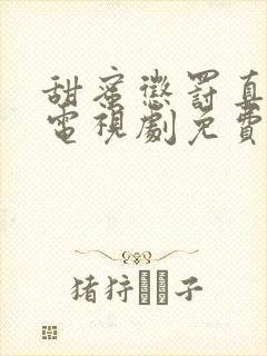 甜蜜惩罚真人版电视剧免费全集高清