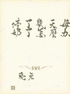 停了几天母乳没奶了怎么办封面