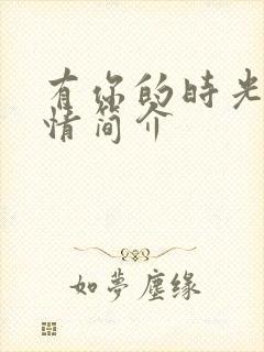 有你的时光里剧情简介封面