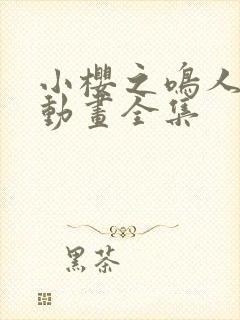 小樱之鸣人之夜动画全集