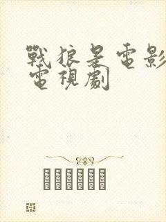 战狼是电影还是电视剧