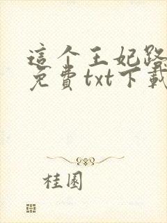 这个王妃路子野免费txt下载