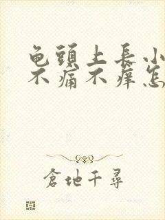 龟头上长小肉粒不痛不痒怎么办