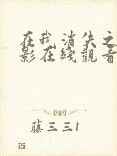 在我消失之前电影在线观看免费播放