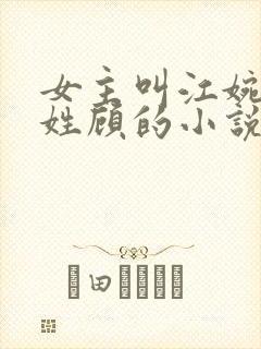 女主叫江婉男主姓顾的小说