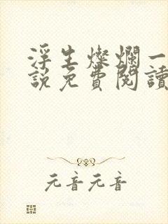 浮生灿烂一朝小说免费阅读全文