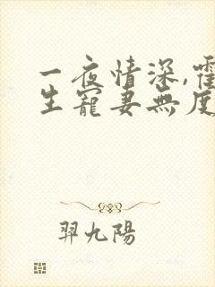 一夜情深,霍先生宠妻无度小说完整