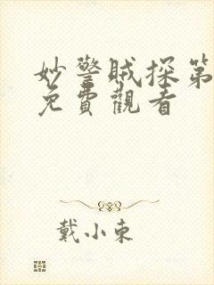 妙警贼探第四季免费观看