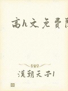 高h文免费阅读封面