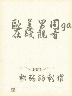 欧美男同gay在线观看