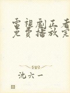 电视剧正者无敌免费播放完整版全集