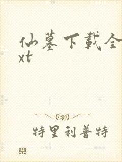 仙墓下载全本txt封面