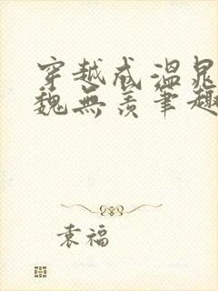 穿越成温晁cp魏无羡笔趣阁