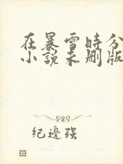 在暴雪时分原著小说未删版