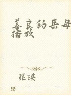 善良的岳母在线播放