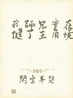 我师兄实在太稳健了主角境界封面