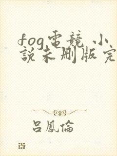fog电竞 小说未删版完整封面