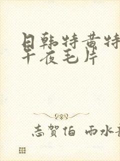 日韩特黄特刺激午夜毛片