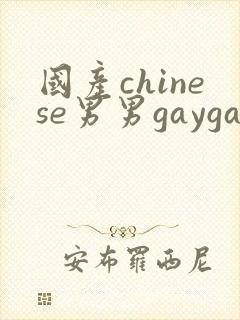 国产chinese男男gaygay免费观看封面
