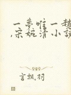 一梦唯一赵振国,宋婉清小说封面