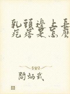 乳头边上长了小疙瘩是怎么回事