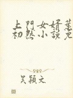 上门女婿叶辰萧初然小说免费封面