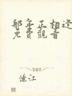 那年正相逢短剧免费观看