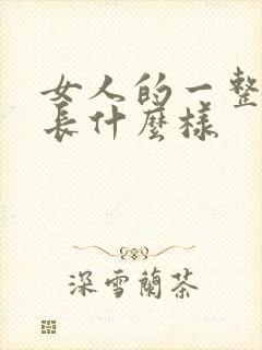 女人的一整个胸长什么样封面