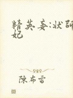 精英妾:状师王妃封面