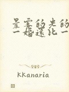 晨雾的光的小说一婚还比一婚高