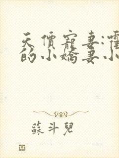 天价宠妻:霍总的小娇妻小说免费阅读