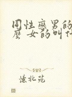 同性恋男的叫什么 女的叫什么封面