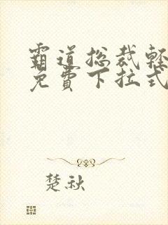 霸道总裁轻轻爱免费下拉式