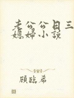 老公公日三个儿媳妇小说