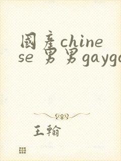 国产chinese 男男gaygay网站封面