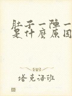 肚子一阵一阵痛是什么原因封面