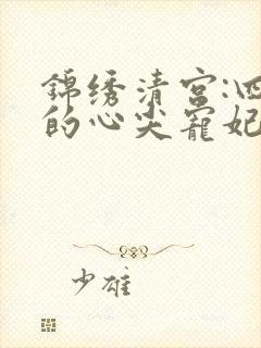 锦绣清宫:四爷的心尖宠妃 雪中回眸封面