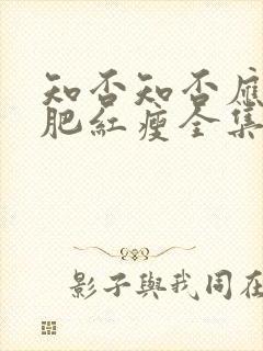 知否知否应是绿肥红瘦全集免费观看4k